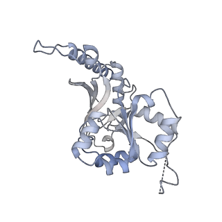 35283_8i9t_CB_v1-1
Cryo-EM structure of a Chaetomium thermophilum pre-60S ribosomal subunit - State Dbp10-1