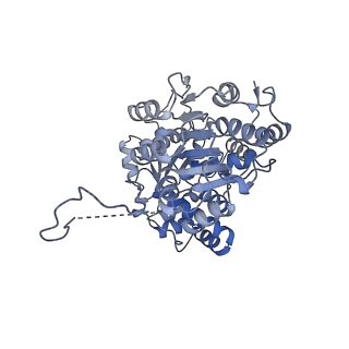 35283_8i9t_CE_v1-1
Cryo-EM structure of a Chaetomium thermophilum pre-60S ribosomal subunit - State Dbp10-1