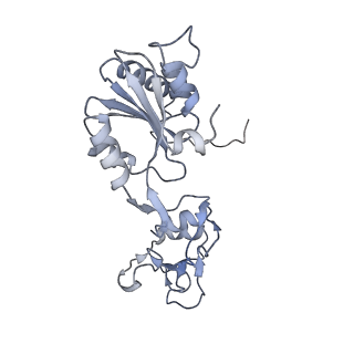 35283_8i9t_CF_v1-1
Cryo-EM structure of a Chaetomium thermophilum pre-60S ribosomal subunit - State Dbp10-1