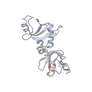 35283_8i9t_CG_v1-1
Cryo-EM structure of a Chaetomium thermophilum pre-60S ribosomal subunit - State Dbp10-1