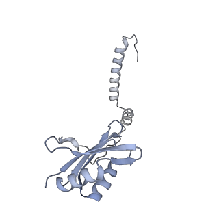 35283_8i9t_CI_v1-1
Cryo-EM structure of a Chaetomium thermophilum pre-60S ribosomal subunit - State Dbp10-1