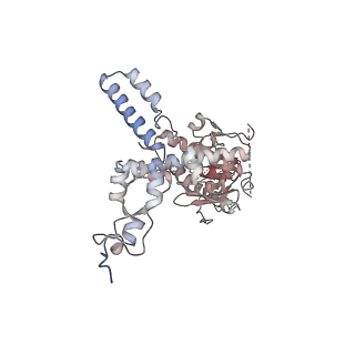 35283_8i9t_CJ_v1-1
Cryo-EM structure of a Chaetomium thermophilum pre-60S ribosomal subunit - State Dbp10-1