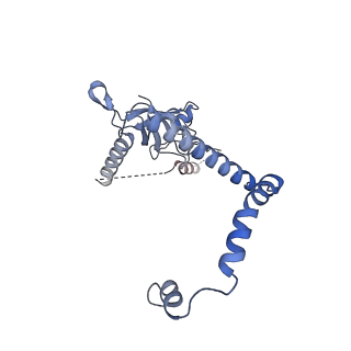 35283_8i9t_CK_v1-1
Cryo-EM structure of a Chaetomium thermophilum pre-60S ribosomal subunit - State Dbp10-1