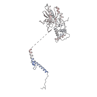 35283_8i9t_CL_v1-1
Cryo-EM structure of a Chaetomium thermophilum pre-60S ribosomal subunit - State Dbp10-1