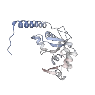 35283_8i9t_CM_v1-1
Cryo-EM structure of a Chaetomium thermophilum pre-60S ribosomal subunit - State Dbp10-1