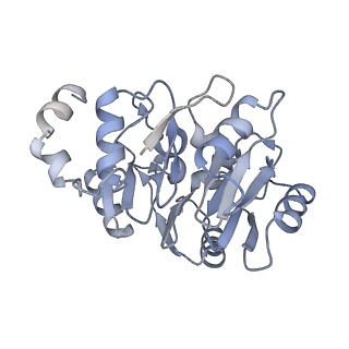 35283_8i9t_CN_v1-1
Cryo-EM structure of a Chaetomium thermophilum pre-60S ribosomal subunit - State Dbp10-1