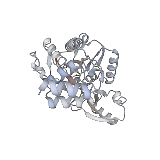 35283_8i9t_CP_v1-1
Cryo-EM structure of a Chaetomium thermophilum pre-60S ribosomal subunit - State Dbp10-1