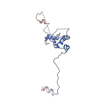 35283_8i9t_CR_v1-1
Cryo-EM structure of a Chaetomium thermophilum pre-60S ribosomal subunit - State Dbp10-1