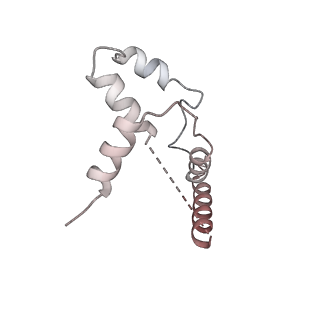 35283_8i9t_CS_v1-1
Cryo-EM structure of a Chaetomium thermophilum pre-60S ribosomal subunit - State Dbp10-1