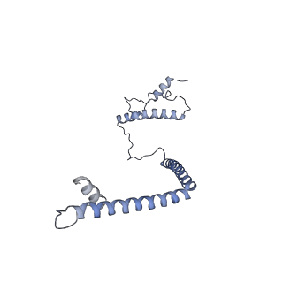 35283_8i9t_CU_v1-1
Cryo-EM structure of a Chaetomium thermophilum pre-60S ribosomal subunit - State Dbp10-1