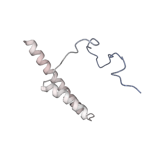 35283_8i9t_CX_v1-1
Cryo-EM structure of a Chaetomium thermophilum pre-60S ribosomal subunit - State Dbp10-1