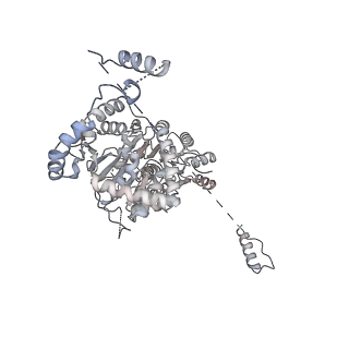 35283_8i9t_Cb_v1-1
Cryo-EM structure of a Chaetomium thermophilum pre-60S ribosomal subunit - State Dbp10-1