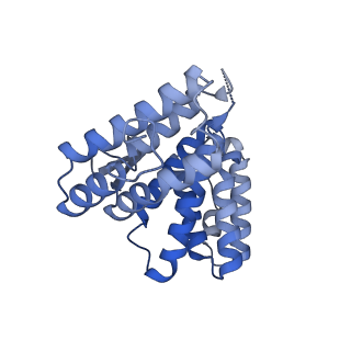 35283_8i9t_Cc_v1-1
Cryo-EM structure of a Chaetomium thermophilum pre-60S ribosomal subunit - State Dbp10-1