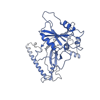 35283_8i9t_Cd_v1-1
Cryo-EM structure of a Chaetomium thermophilum pre-60S ribosomal subunit - State Dbp10-1