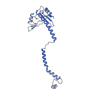 35283_8i9t_Ce_v1-1
Cryo-EM structure of a Chaetomium thermophilum pre-60S ribosomal subunit - State Dbp10-1