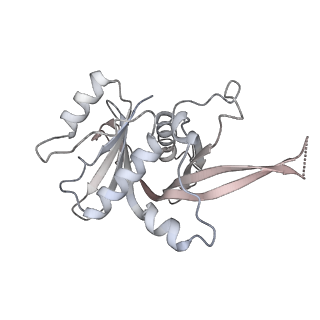 35283_8i9t_Cg_v1-1
Cryo-EM structure of a Chaetomium thermophilum pre-60S ribosomal subunit - State Dbp10-1