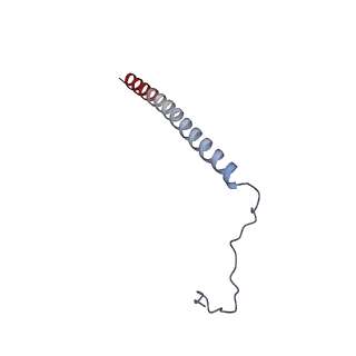 35283_8i9t_Cz_v1-1
Cryo-EM structure of a Chaetomium thermophilum pre-60S ribosomal subunit - State Dbp10-1