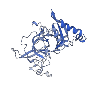 35283_8i9t_LB_v1-1
Cryo-EM structure of a Chaetomium thermophilum pre-60S ribosomal subunit - State Dbp10-1