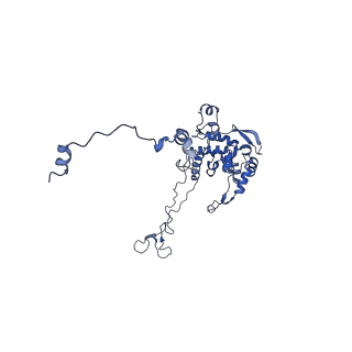 35283_8i9t_LC_v1-1
Cryo-EM structure of a Chaetomium thermophilum pre-60S ribosomal subunit - State Dbp10-1