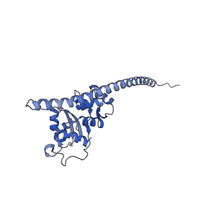 35283_8i9t_LF_v1-1
Cryo-EM structure of a Chaetomium thermophilum pre-60S ribosomal subunit - State Dbp10-1