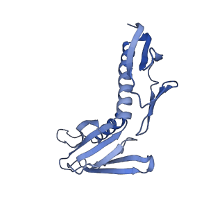 35283_8i9t_LH_v1-1
Cryo-EM structure of a Chaetomium thermophilum pre-60S ribosomal subunit - State Dbp10-1