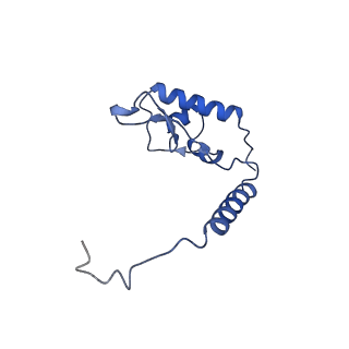 35283_8i9t_LL_v1-1
Cryo-EM structure of a Chaetomium thermophilum pre-60S ribosomal subunit - State Dbp10-1