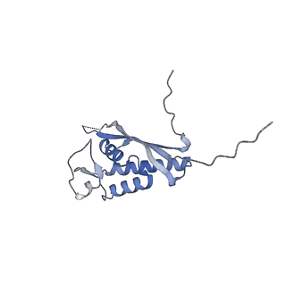 35283_8i9t_LP_v1-1
Cryo-EM structure of a Chaetomium thermophilum pre-60S ribosomal subunit - State Dbp10-1
