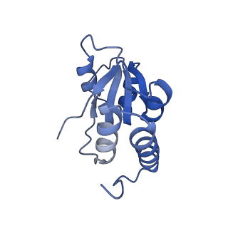 35283_8i9t_LQ_v1-1
Cryo-EM structure of a Chaetomium thermophilum pre-60S ribosomal subunit - State Dbp10-1