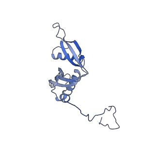 35283_8i9t_LS_v1-1
Cryo-EM structure of a Chaetomium thermophilum pre-60S ribosomal subunit - State Dbp10-1