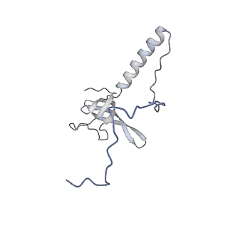 35283_8i9t_LT_v1-1
Cryo-EM structure of a Chaetomium thermophilum pre-60S ribosomal subunit - State Dbp10-1