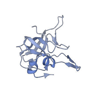 35283_8i9t_LV_v1-1
Cryo-EM structure of a Chaetomium thermophilum pre-60S ribosomal subunit - State Dbp10-1