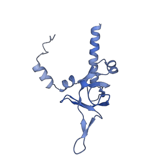 35283_8i9t_LY_v1-1
Cryo-EM structure of a Chaetomium thermophilum pre-60S ribosomal subunit - State Dbp10-1