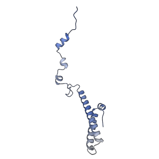 35283_8i9t_Lh_v1-1
Cryo-EM structure of a Chaetomium thermophilum pre-60S ribosomal subunit - State Dbp10-1