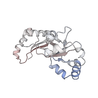 35283_8i9t_Lq_v1-1
Cryo-EM structure of a Chaetomium thermophilum pre-60S ribosomal subunit - State Dbp10-1