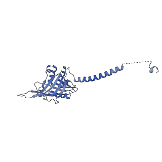 35285_8i9v_CA_v1-1
Cryo-EM structure of a Chaetomium thermophilum pre-60S ribosomal subunit - State Dbp10-2