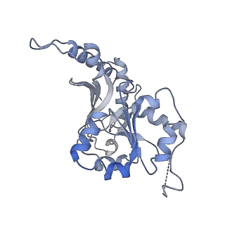 35285_8i9v_CB_v1-1
Cryo-EM structure of a Chaetomium thermophilum pre-60S ribosomal subunit - State Dbp10-2