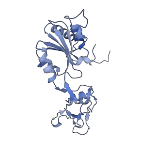 35285_8i9v_CF_v1-1
Cryo-EM structure of a Chaetomium thermophilum pre-60S ribosomal subunit - State Dbp10-2