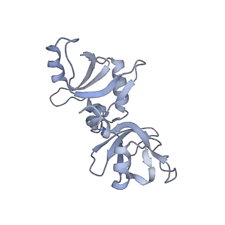 35285_8i9v_CG_v1-1
Cryo-EM structure of a Chaetomium thermophilum pre-60S ribosomal subunit - State Dbp10-2