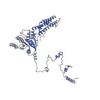 35285_8i9v_CH_v1-1
Cryo-EM structure of a Chaetomium thermophilum pre-60S ribosomal subunit - State Dbp10-2