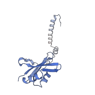 35285_8i9v_CI_v1-1
Cryo-EM structure of a Chaetomium thermophilum pre-60S ribosomal subunit - State Dbp10-2
