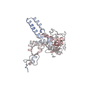35285_8i9v_CJ_v1-1
Cryo-EM structure of a Chaetomium thermophilum pre-60S ribosomal subunit - State Dbp10-2