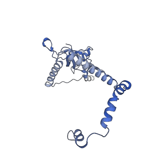 35285_8i9v_CK_v1-1
Cryo-EM structure of a Chaetomium thermophilum pre-60S ribosomal subunit - State Dbp10-2