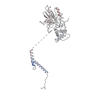 35285_8i9v_CL_v1-1
Cryo-EM structure of a Chaetomium thermophilum pre-60S ribosomal subunit - State Dbp10-2