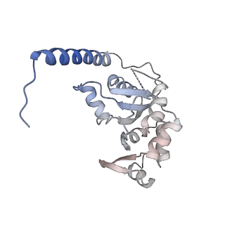 35285_8i9v_CM_v1-1
Cryo-EM structure of a Chaetomium thermophilum pre-60S ribosomal subunit - State Dbp10-2