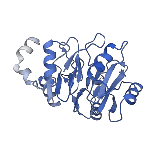 35285_8i9v_CN_v1-1
Cryo-EM structure of a Chaetomium thermophilum pre-60S ribosomal subunit - State Dbp10-2