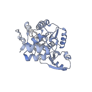 35285_8i9v_CP_v1-1
Cryo-EM structure of a Chaetomium thermophilum pre-60S ribosomal subunit - State Dbp10-2