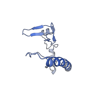 35285_8i9v_CQ_v1-1
Cryo-EM structure of a Chaetomium thermophilum pre-60S ribosomal subunit - State Dbp10-2