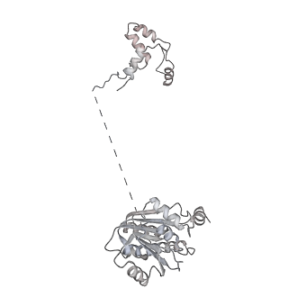 35285_8i9v_CS_v1-1
Cryo-EM structure of a Chaetomium thermophilum pre-60S ribosomal subunit - State Dbp10-2