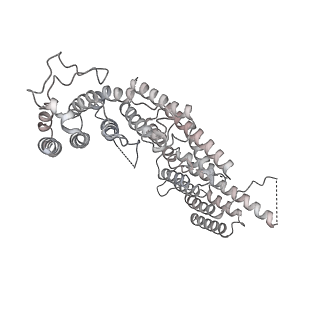 35285_8i9v_CT_v1-1
Cryo-EM structure of a Chaetomium thermophilum pre-60S ribosomal subunit - State Dbp10-2