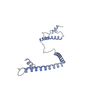 35285_8i9v_CU_v1-1
Cryo-EM structure of a Chaetomium thermophilum pre-60S ribosomal subunit - State Dbp10-2
